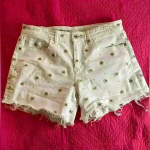 Anthropologie Pilcro and the letterpress starburst embroidered denim shorts